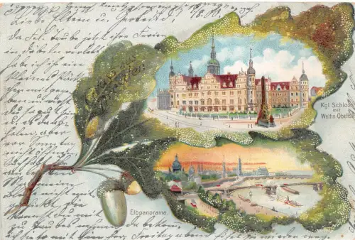 Elbpanorma, Königliches Schloss Dresden Sachsen Karte mit Glitzerbesatz AK 1900