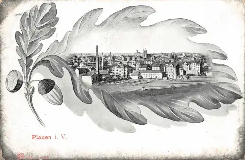 Plauen i. V. Ansicht Postkarte AK 1908
