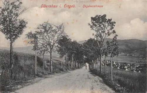 Olbernhau i. Erzgeb. Saydaerstrasse Postkarte AK 1907