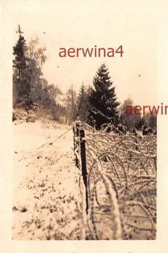 Stacheldraht Verschlag an der Grenze Eifel Westfalen Westwall