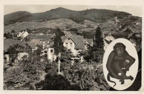 Gruß von Affental Gasthaus zum Auerhahn Bühl i. B. Postkarte AK 1938