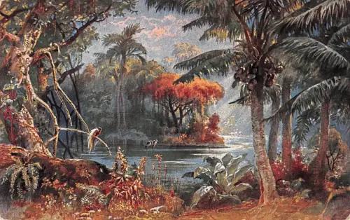 Kolonialkriegerdank Landschaft in Kamerun Patriotika Postkarte AK