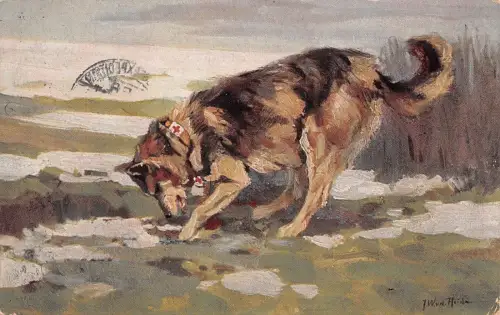 Wohlfahrts-Postkarte Der Sanitätshund im Felde Patriotika Postkarte AK 1916