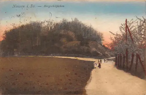 Bergschlösschen in Nossen Sachsen Postkarte AK 1906