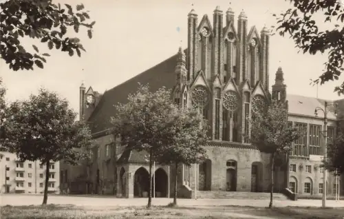 Ansicht Rathaus in Frankfurt Oder Brandenburg Postkarte AK