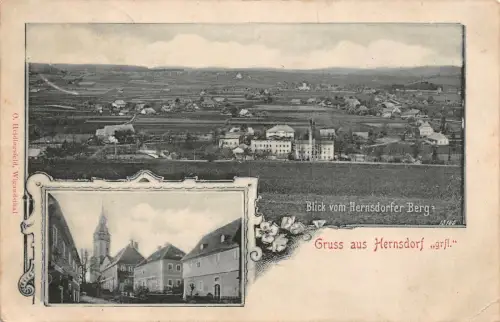Gruss aus Hernsdorf (Świeradów-Zdrój) Blick Hernsdorfer Berg Schlesien AK 1900