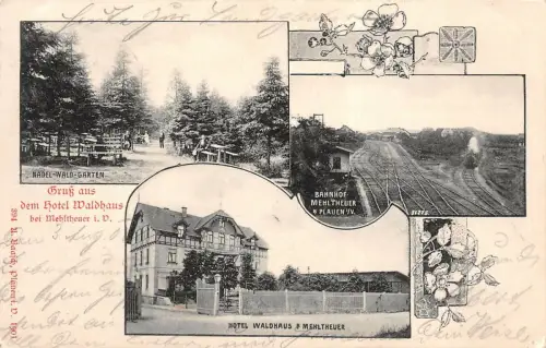 Mehltheuer Vogtland Bahnhof, Hotel, Garten AK 1907