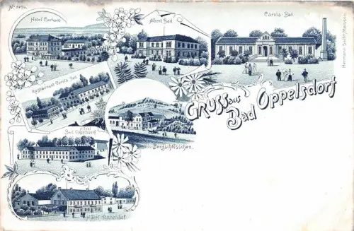 AK Bad Oppelsdorf Schlesien Restaurant , Hotel Litho Postkarte