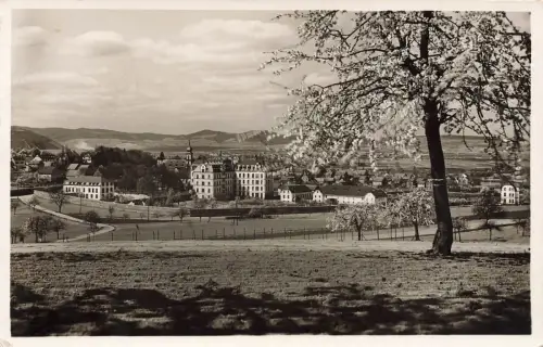 Blick auf Saffig bei Andernach am Rhein Rheinland-Pfalz Postkarte AK 1940