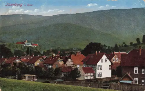 Blick auf Ilsenburg am Harz Sachsen-Anhalt Postkarte AK 1916