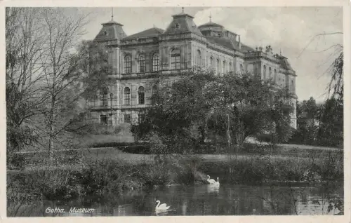 Ansicht Gotha Museum Postkarte AK