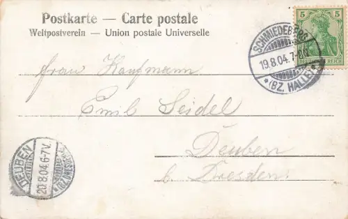 Städtisches Eisenmoorbad in Bad Schmiedeberg Sachsen-Anhalt Postkarte AK 1904