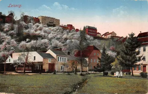 Stadtansicht Leisnig Sachsen Postkarte AK 1918