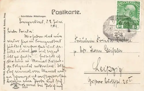 Franzensbad - Františkovy Lázně Aussichtsturm Postkarte 1909