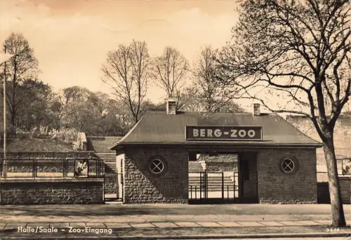 AK Halle Saale Zoo Eingang 1962 Sachsen-Anhalt gelaufen