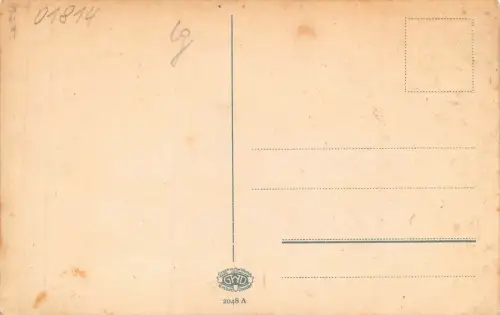 Bad Schandau Sächs. Schweiz Dampfer Postkarte AK