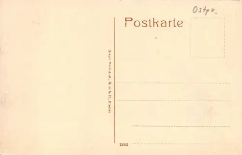 AK Tilsit Ostpreußen Jacobsruhe an Schwanenteich Postkarte