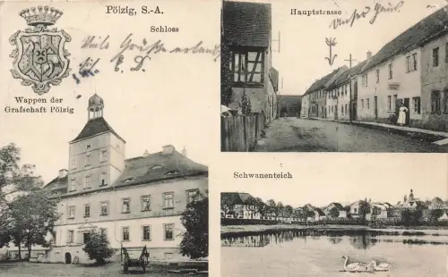 AK Pölzig Schloss Hauptstrasse Wappen Schwanenteich 1913 Sachsen-Anhalt gelaufen