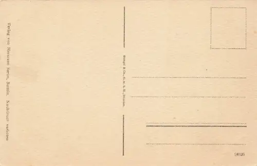 Baumbrücke mit Alt Stettin Stettin Pommern Postkarte AK