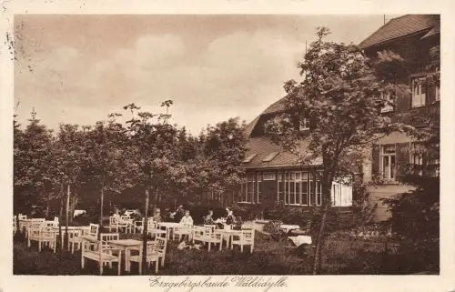 AK Kipsdorf bei Oberbärenburg Gasthaus Waldisylle 1935