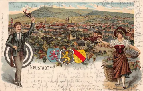 Neustadt a. H. Ansicht Panorama Postkarte AK 1903