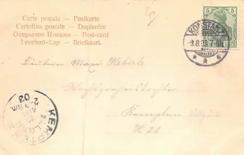 Mainau Bodensee Ansicht Baden-Württemberg Postkarte AK 1903