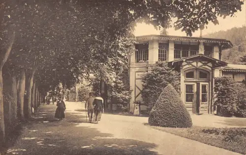 Moritzquelle in Bad Elster Vogtland Sachsen Postkarte AK 1922