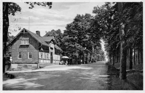 Mooshaide b. Zwönitz Ausflugsort Nadelwald Bes.: M. Otto AK 1934