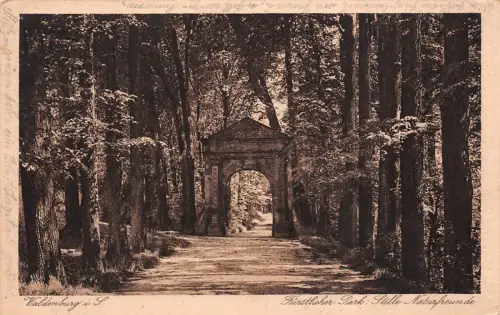 Waldenburg i. S. Fürstlicher Park Stille Naturfreunde Postkarte AK 1925