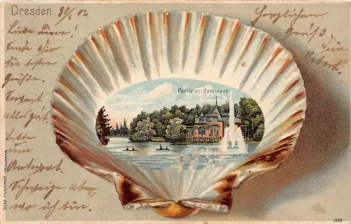Dresden Partie am Carolasee Postkarte AK 1903