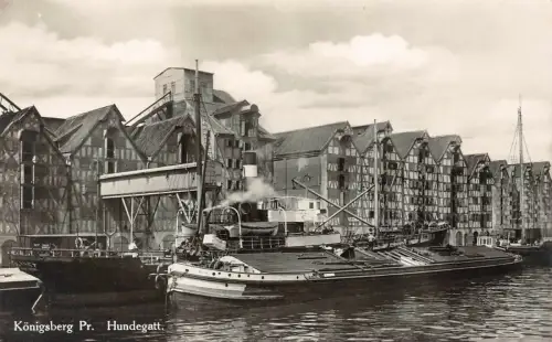Königsberg Pr. Hundegatt Postkarte AK