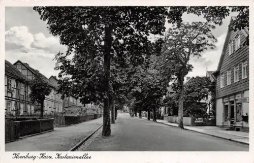 Ilsenburg-Harz Kastanienallee Postkarte AK