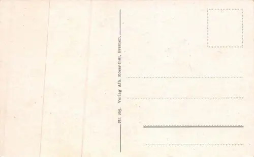 Bremen Laubengang im Bürgerpark Postkarte AK