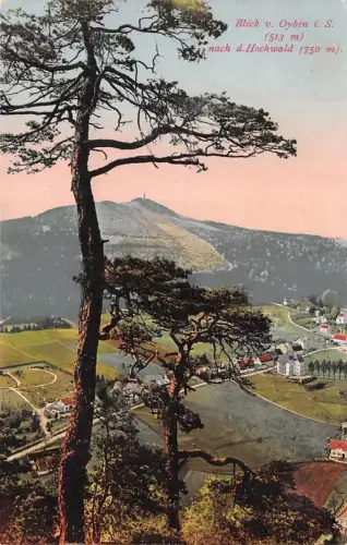 Blick v. Oybin i. S. (513 m ) nach d. Hochwald (750 m) Postkarte AK