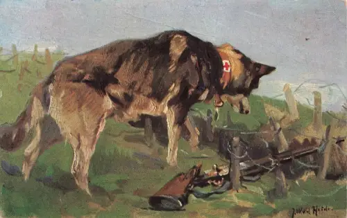 Der Sanitätshund im Felde entdeckt Soldat Rotkreuz Patriotika Postkarte AK 1916