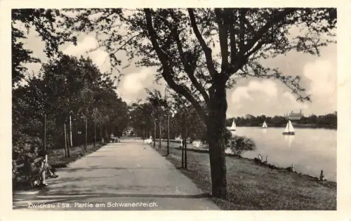 Zwickau i. Sa. Partie am Schwanenteich Postkarte AK 1943
