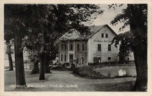 Gasthaus "Drei Linden" Trieb bei Jocketa Postkarte AK
