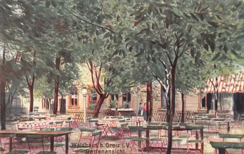 Waldhaus b. Greiz i. V. Gartenansicht Postkarte AK 1910