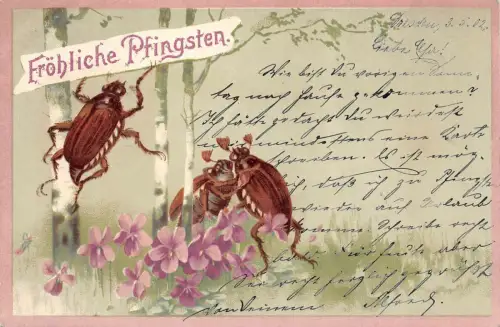 Tazende Maikäfer Glückwunsch Pfingsten AK 1902 Dresden