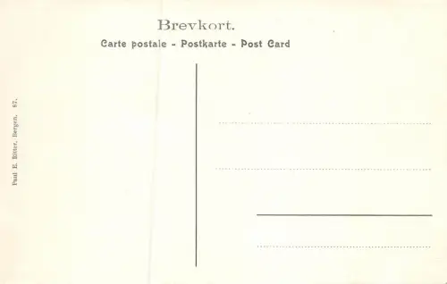 Trondhjem Nedre Lerfos Postkarte AK