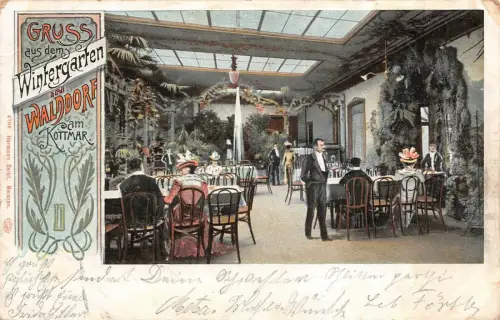 Gruss aus dem Wintergarten in Walddorf am Kottmar Sachsen Postkarte AK 1906