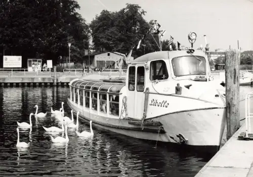 MS Libelle Weiße Flotte Potsdam Brandenburg Postkarte AK 1966