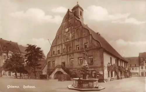 Rathaus in Grimma Sachsen Postkarte