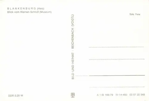 AK Blankenburg Blick vom kleinen Schloss Denkmal Löwe Sachsen-Anhalt ungelaufen