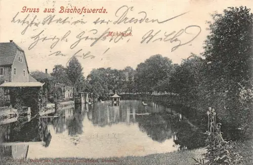 Gruss aus Bischofswerda Mühlteich Postkarte AK 1927