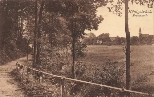 Promenade Ansicht auf Königsbrück Sachsen Postkarte AK 1925