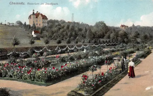 Chemnitz Rosarium im Stadtpark Postkarte AK