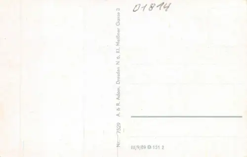 Bad Schandau (Sächs. Schweiz) Postkarte AK