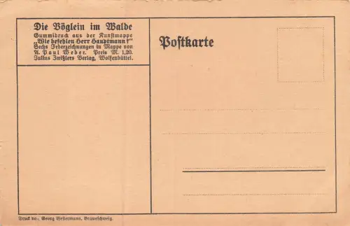 Die Vöglein im Walde Feldskizze Patriotika Postkarte AK