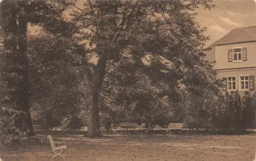 Die alten Linden Heilstätte Lindenhof in Coswig Sachsen Postkarte AK